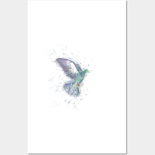 Pigeon in Flight pen drawing. Posters and Art